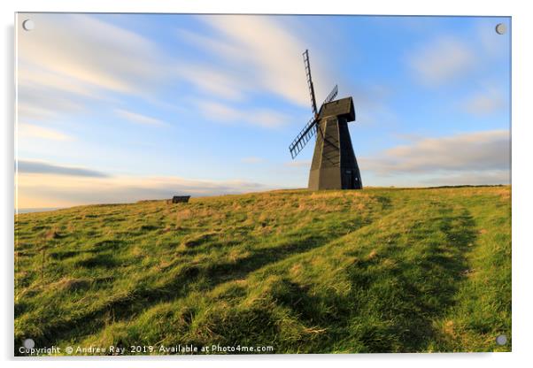 Track to Rottingdean Windmill Acrylic by Andrew Ray