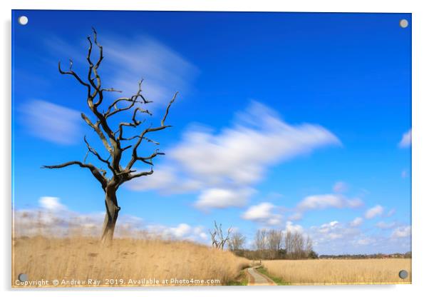 Snape Maltings Acrylic by Andrew Ray