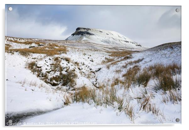 Snowy morning (Pen-y-ghent) Acrylic by Andrew Ray