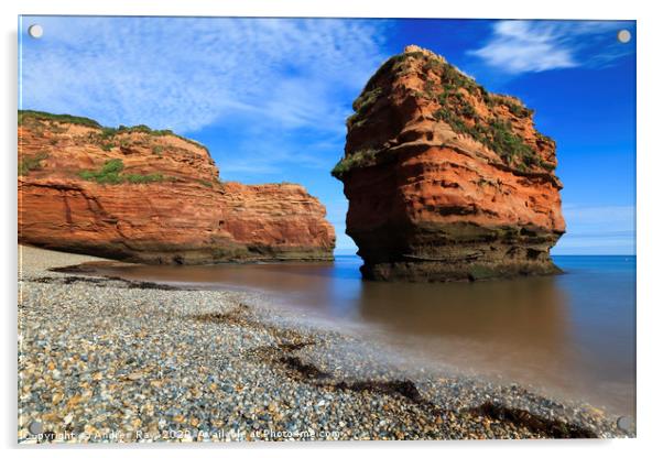 Sandstone Sea Stack (Ladram Bay) Acrylic by Andrew Ray