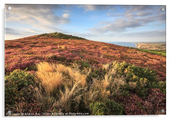 St Agnes Beacon  Acrylic by Andrew Ray