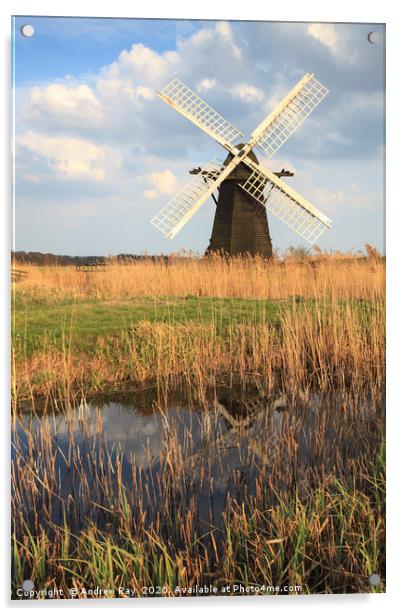 Herringfleet Drainage Mill Acrylic by Andrew Ray