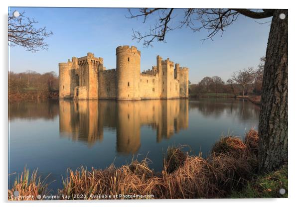 Tree's at Bodiam Castle Acrylic by Andrew Ray