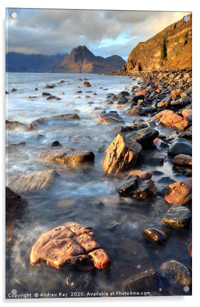 Rocks at Elgol Acrylic by Andrew Ray