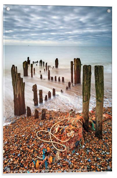 Groynes at Rye Harbour Acrylic by Andrew Ray