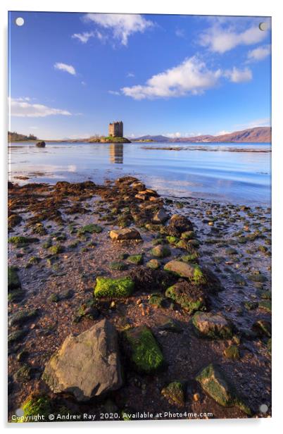 Rocky Shore (Castle Stalker) Acrylic by Andrew Ray