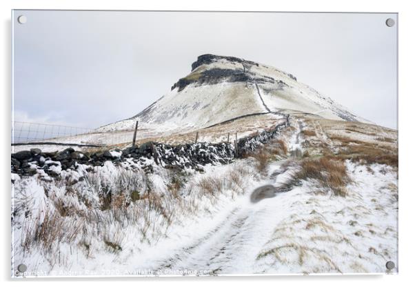 Snow on Pen-y-ghent Acrylic by Andrew Ray