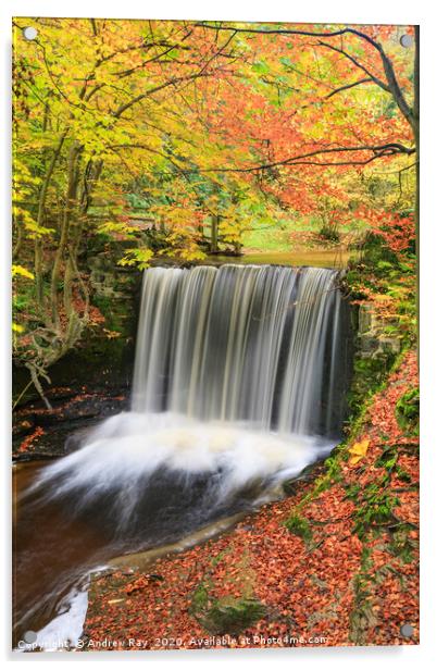 Autumn colour (Nant Mill Waterfall) Acrylic by Andrew Ray