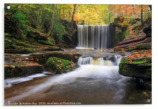 Waterfalls at Nant Mill Acrylic by Andrew Ray