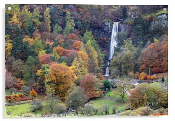 Autumnal view (Pistyll Rhaeadr) Acrylic by Andrew Ray