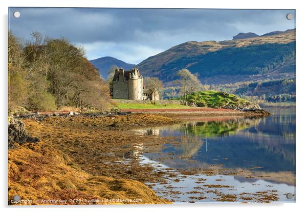 Dunderave Castle shoreline Acrylic by Andrew Ray