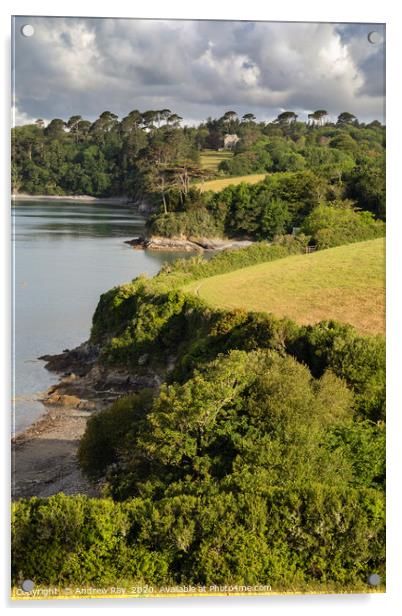 Helford Coast Path Acrylic by Andrew Ray