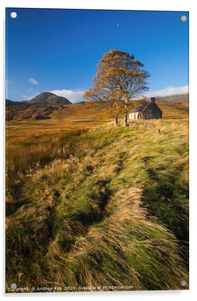 Tree and House (Loch Loyal) Acrylic by Andrew Ray