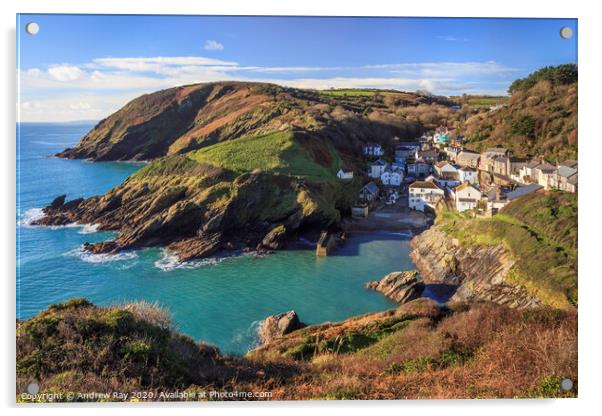 Portloe view  Acrylic by Andrew Ray