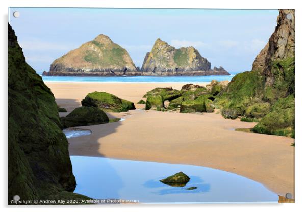 Low tide at Holywell Acrylic by Andrew Ray