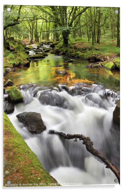 Falls View (Golitha Falls) Acrylic by Andrew Ray