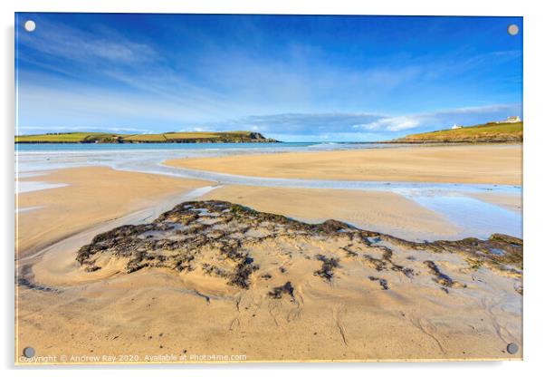 Daymer Beach Acrylic by Andrew Ray