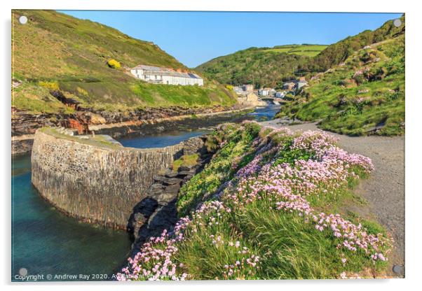 Thrift at Boscastle Acrylic by Andrew Ray