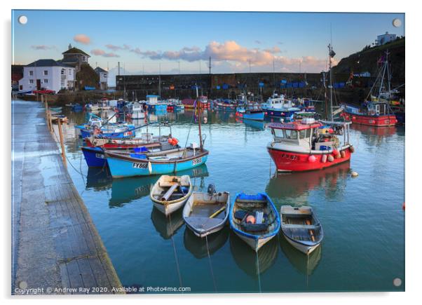 Boats in the inner harbour (Mevagissey) Acrylic by Andrew Ray