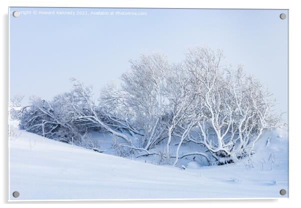 Tree buried in snowdrift on Rannoch Moor Acrylic by Howard Kennedy