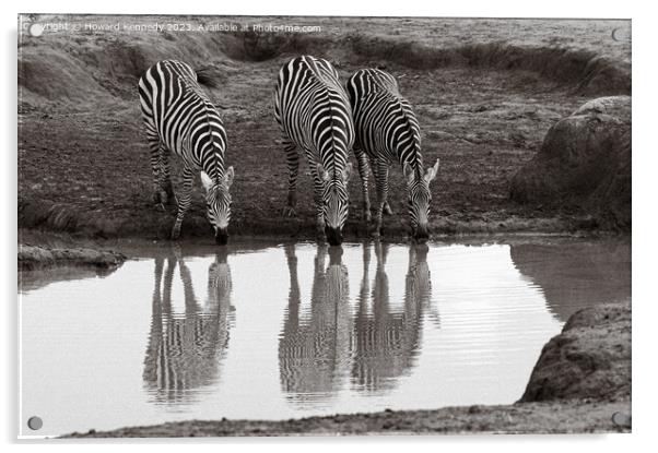 Burchell's Zebra at waterhole Acrylic by Howard Kennedy