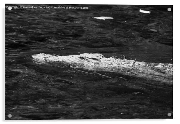 Nile crocodile swimming in Mzima Springs, Kenya Acrylic by Howard Kennedy