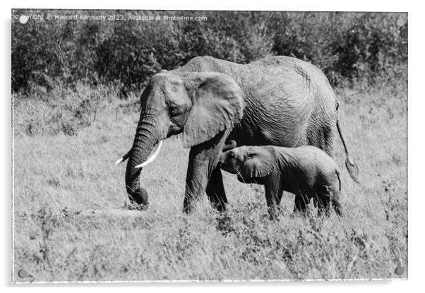 Elephant mother nursing her suckling infant in black and white Acrylic by Howard Kennedy