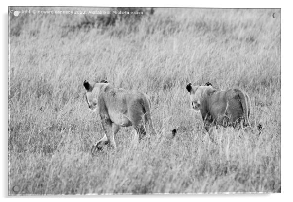 Lionesses setting out on a hunt in black and white Acrylic by Howard Kennedy