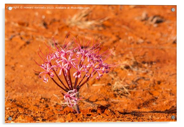 Desert flower Acrylic by Howard Kennedy