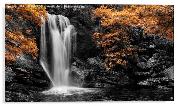  Arklet Falls, Inversnaid Acrylic by Ali  Daisley
