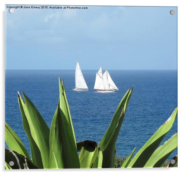  Sailing in Barbados Round the Island Race Acrylic by Jane Emery