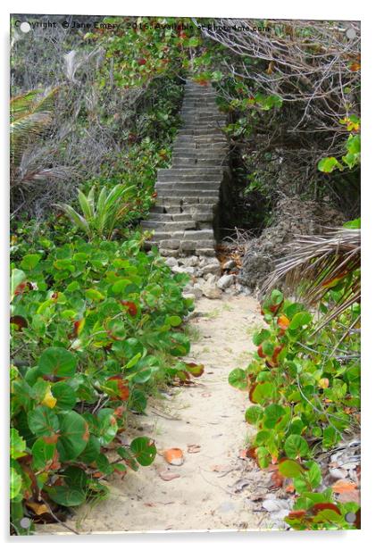 steps at Bottom Bay Acrylic by Jane Emery