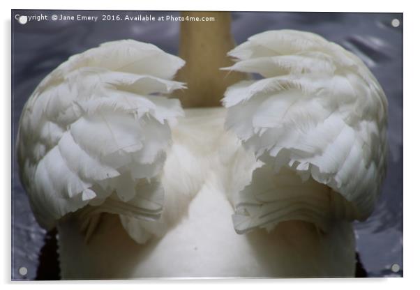Wings of a Swan Acrylic by Jane Emery