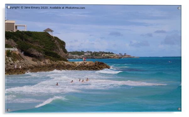 Outdoor cean beach, The Crane Acrylic by Jane Emery