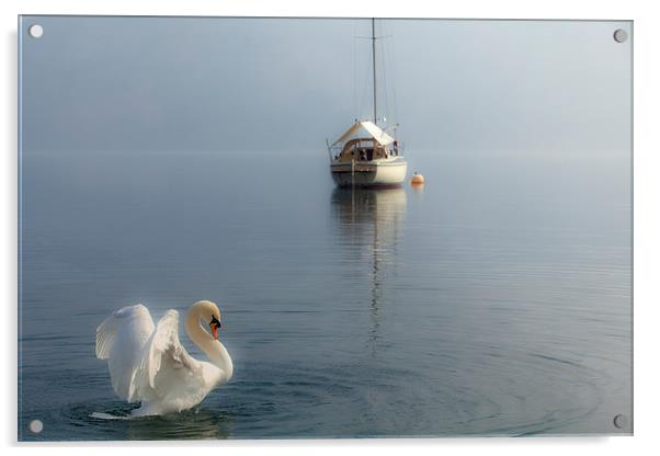  Swan Lake Acrylic by Reza Sina