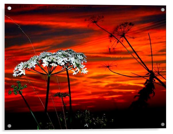 Sunset #3  Acrylic by Lance Hollingworth