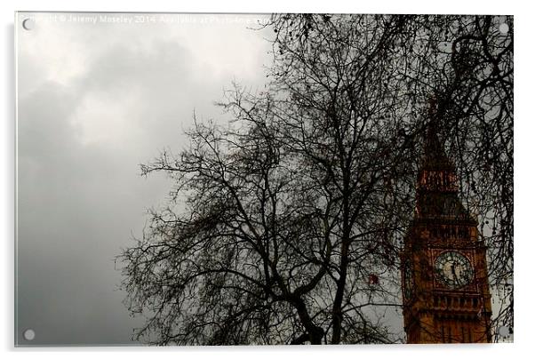 Big Ben as seen through the branches of a tree Acrylic by Jeremy Moseley