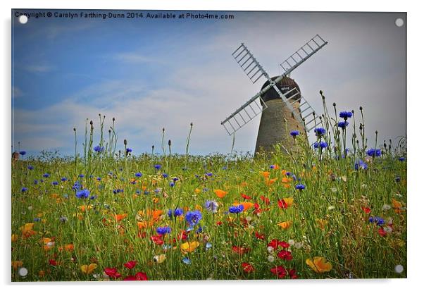  Windmill in Summer Acrylic by Carolyn Farthing-Dunn