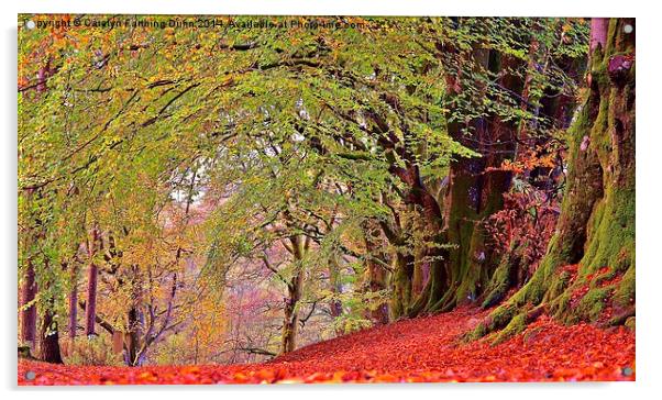  A walk in Autumn Woods Acrylic by Carolyn Farthing-Dunn