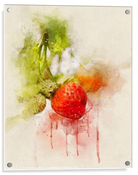 Strawberry Dream Acrylic by Ash Harding