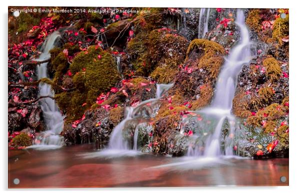  Autumnal Waterfalls Acrylic by Emily Murdoch