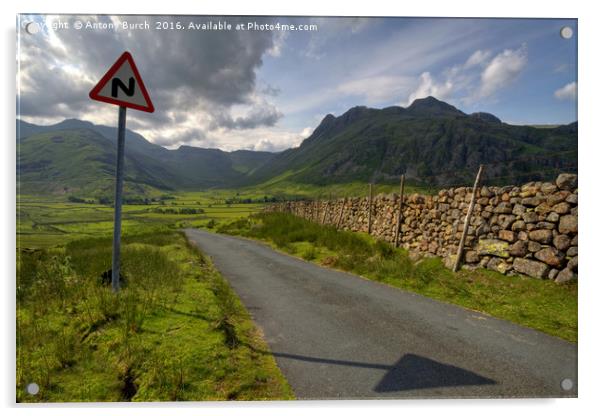The Road to the Langdales Acrylic by Antony Burch