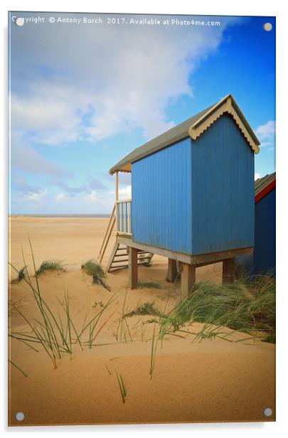 Wells Beach Hut  Acrylic by Antony Burch