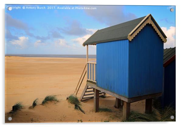 Wells Beach Hut Acrylic by Antony Burch
