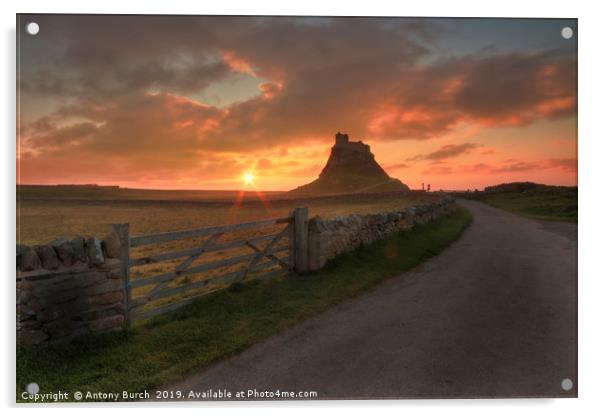 Holy island of Lindisfarne Dawn Acrylic by Antony Burch