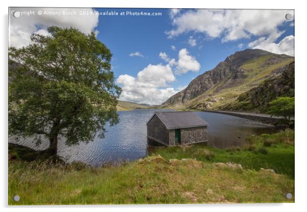 Lyn Ogwen, N Wales Acrylic by Antony Burch