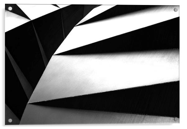  Curves in Mono Acrylic by Dave Carroll