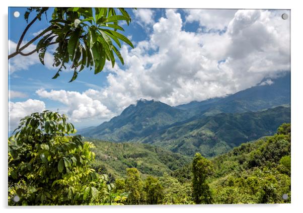 Kota Kinabalu Mountain Range : Borneo, Malaysia Acrylic by Dave Carroll