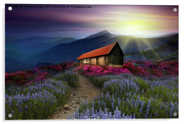  beautiful meadow  Acrylic by Heaven's Gift xxx68