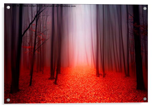  The Red Forest Acrylic by Heaven's Gift xxx68